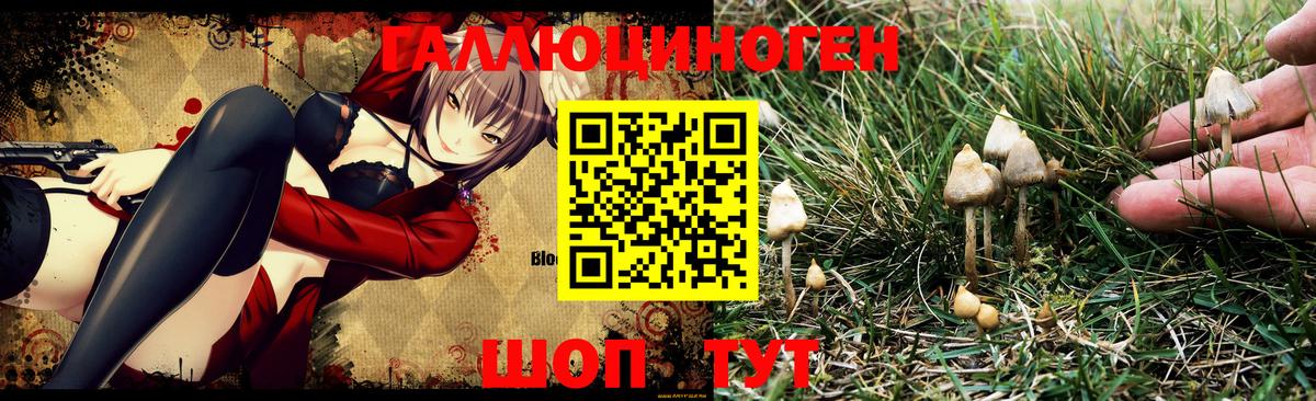 Апатиты  Галлюциногенные грибы Magic Shrooms  Вход с VPN 